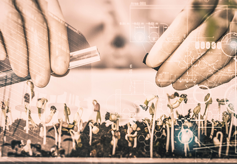 Environmental Damage and Toxic Torts Attorney